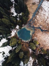 High angle view of trees by alpine lake