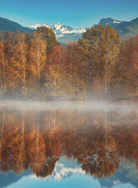 Reflection of trees on lake during autumn