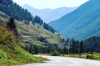 Scenic view of road amidst trees and mountains against sky