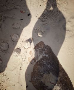 High angle view of footprints on beach