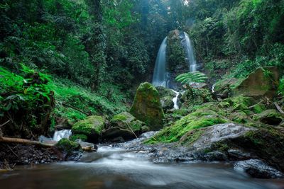 Waterfall in forest