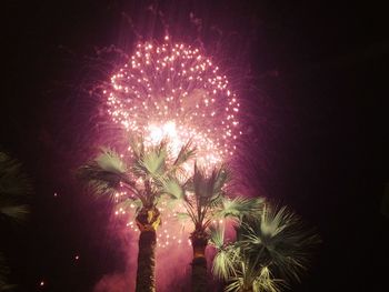 Low angle view of firework display