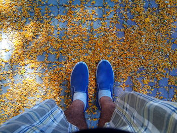 Low section of man standing on footpath by dry flowers