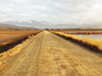 Road amidst agricultural field against sky