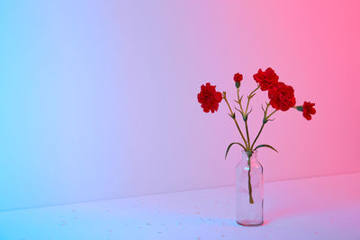 Close-up of flowers in vase on table