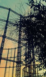 Low angle view of trees against sky