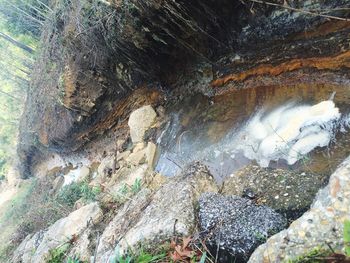 Rocks in pond