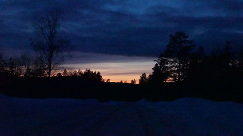 Silhouette trees in forest against sky at sunset