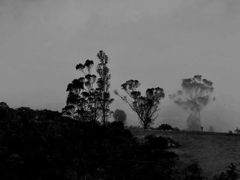 Low angle view of silhouette trees against sky