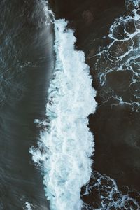 Trees in water