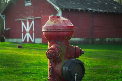 Fire hydrant by barn on field