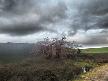 Scenic view of field against cloudy sky