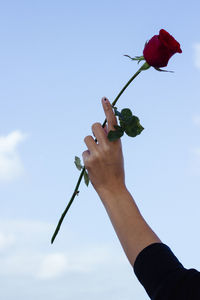 Low angle view of hand holding rose against sky