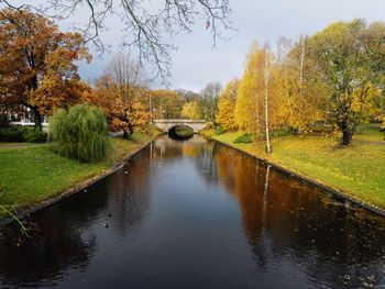 River amidst trees in park during autumn