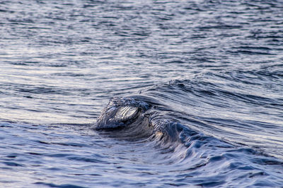 Full frame shot of sea