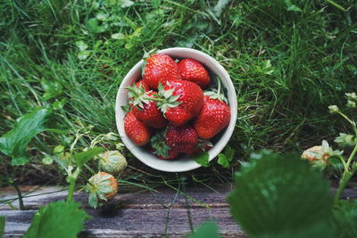 Close-up of strawberries in bowl at farm