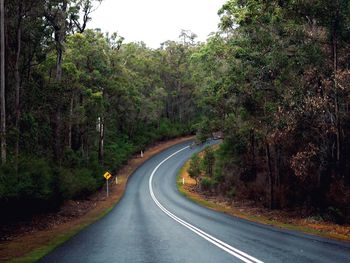 Empty road amidst trees