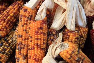 Full frame shot of corns for sale in market