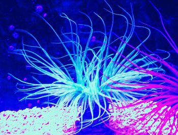 Close-up of object against blue sky