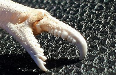 Close-up of hand holding water