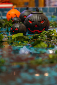 Close-up of pumpkin against blurred background
