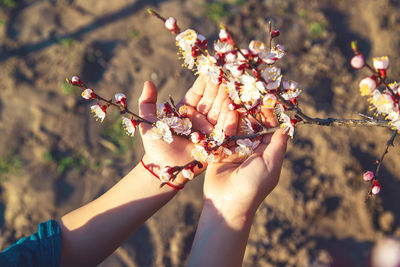 Close-up of hand holding flower