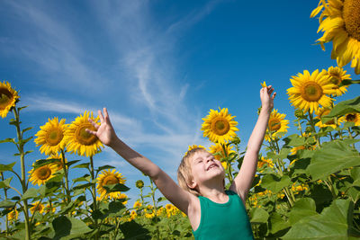 Low angle view of sunflower against sky