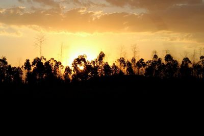 Silhouette of trees at sunset