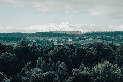 High angle view of trees on landscape against sky