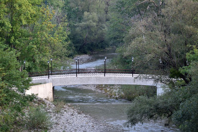 Bridge over river amidst trees in forest