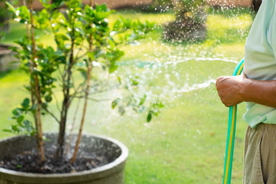 Midsection of man holding plants in water