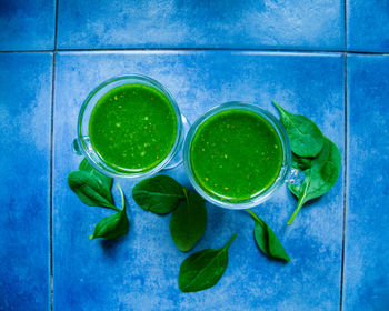 High angle view of green leaves on blue surface