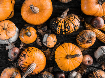 Close-up of pumpkins