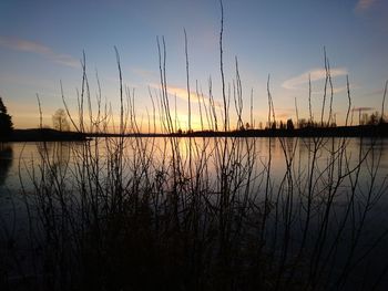 Silhouette birds by lake against sky during sunset