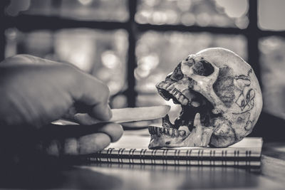 Cropped image of hand holding french fries by human skull at table