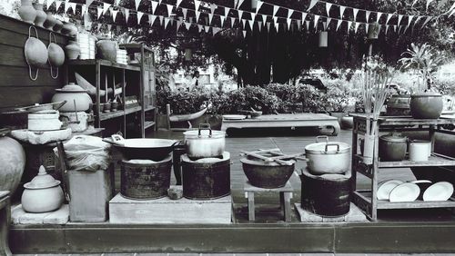 Potted plants for sale at market