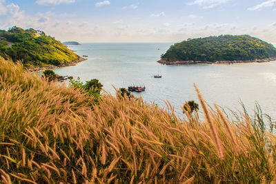 Scenic view of sea against sky