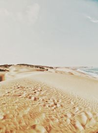 Surface level of beach against sky