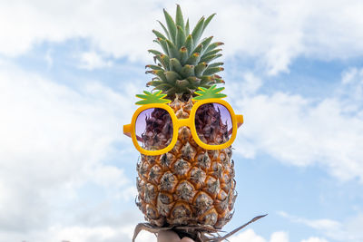 Close-up of bananas on plant against cloudy sky