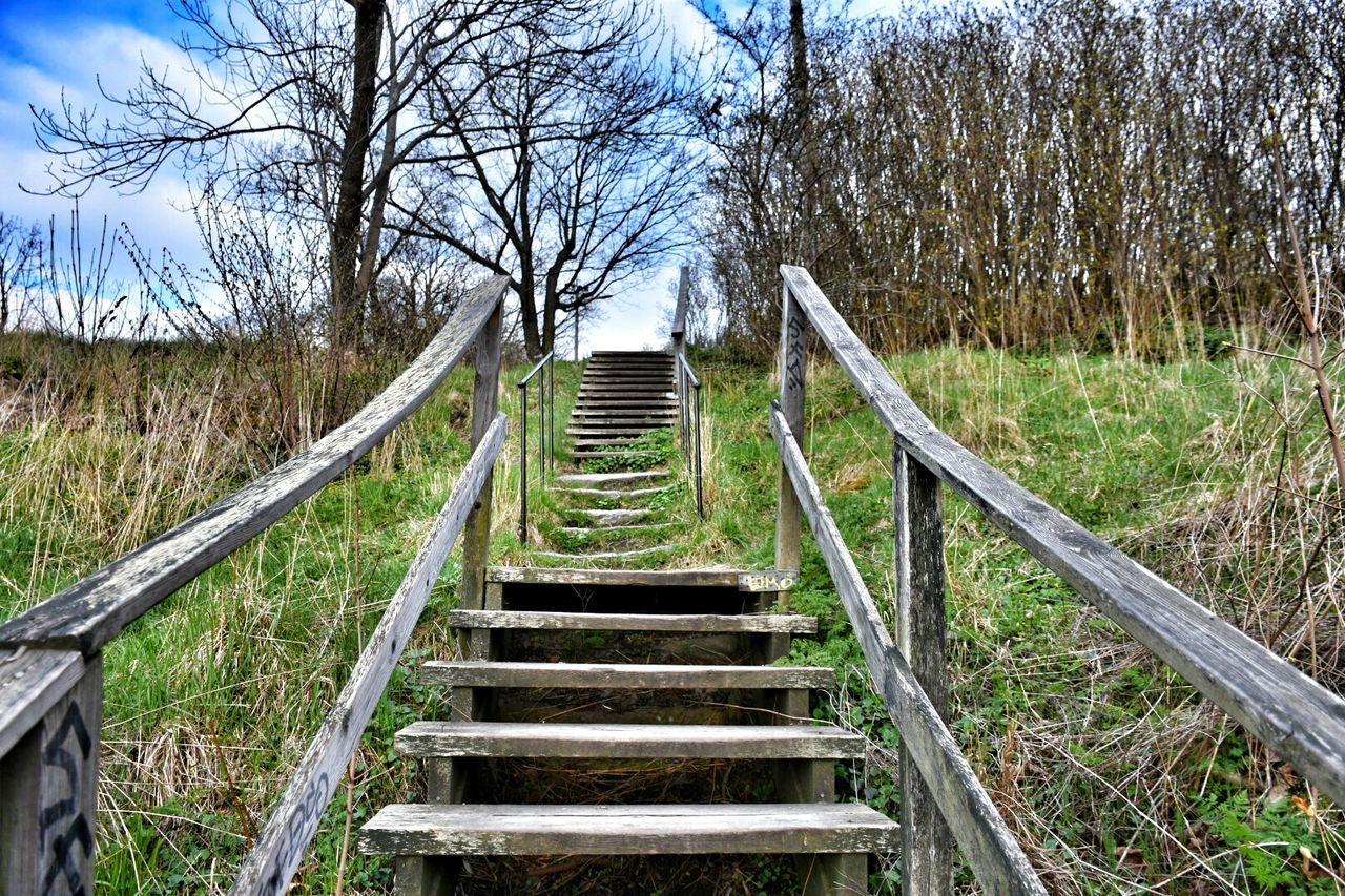 the way forward, railing, tree, steps, steps and staircases, staircase, diminishing perspective, grass, tranquility, plant, sky, tranquil scene, nature, landscape, growth, wood - material, vanishing point, day, boardwalk, field