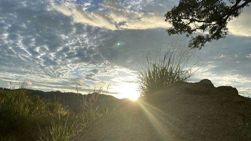 Scenic view of road against sky during sunset