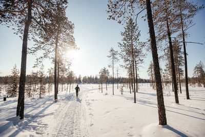 Sporty man in sportswear running in a winter park, copy space. a runner trains outdoors