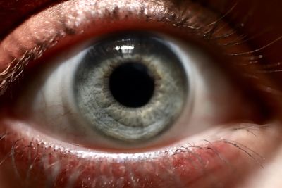 Close-up portrait of human eye