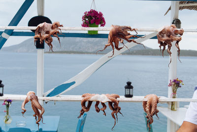 View of octopus on railing against sea