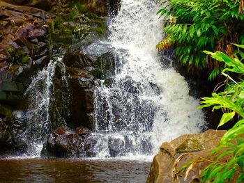 Scenic view of waterfall in forest