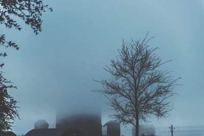 Low angle view of tree against sky