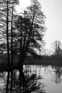 Silhouette tree by lake against sky