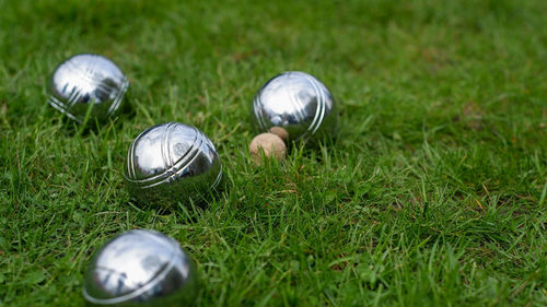 Close-up of steel petanque balls on a green lawn. 
