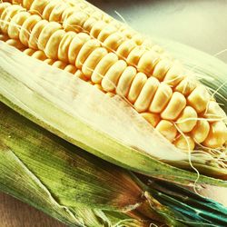 High angle view of corn