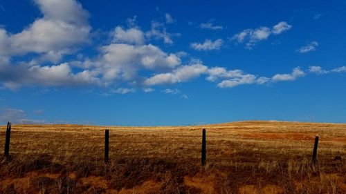 Scenic view of field against blue sky